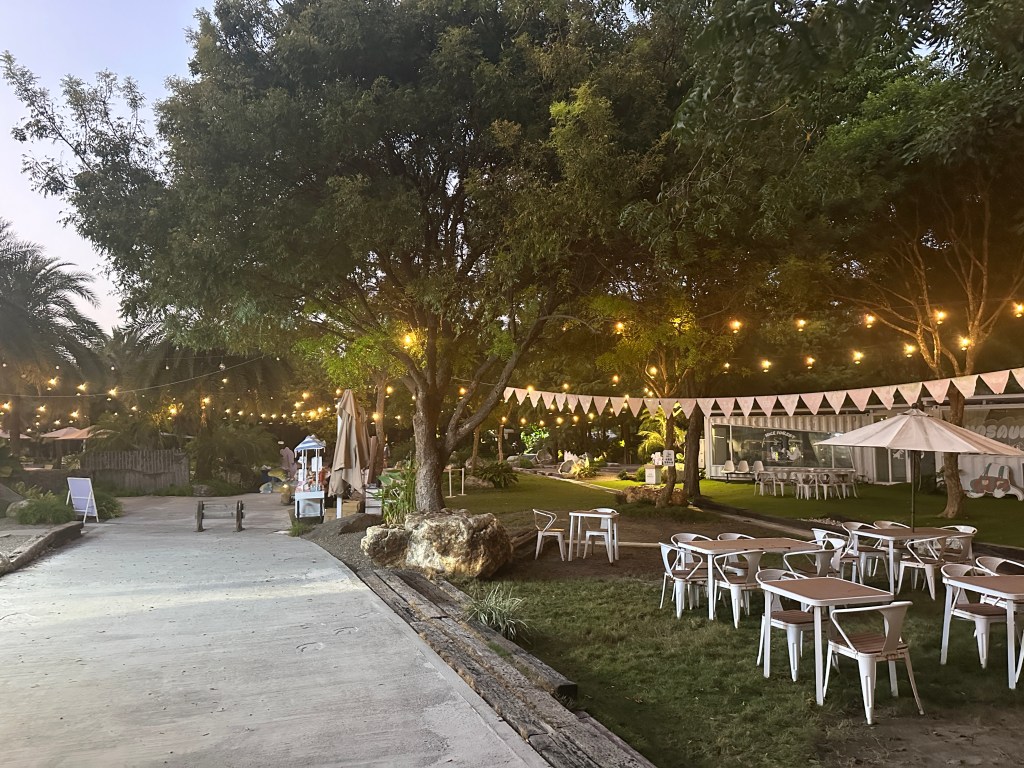 夜幕低垂後的好田森林